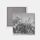 Aimant Tulipes en fleurs (Recto/Verso)
