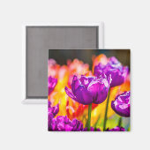 Aimant Tulipes Enchantant violet (Recto/Verso)