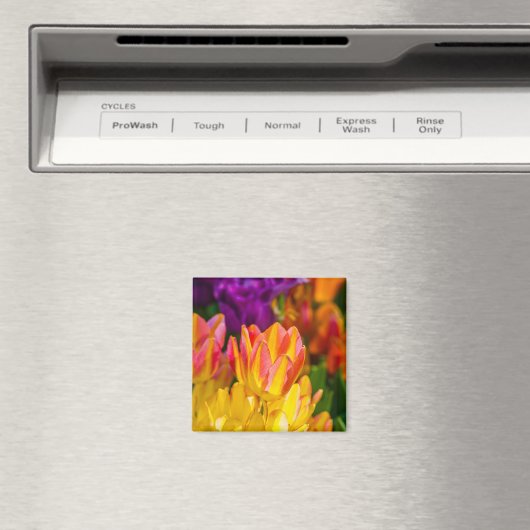 Aimant Tulipes Enchanter 16 (In Situ (Lave-vaisselle))