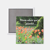 Aimant Tulipes - Fleur où vous êtes planté (Recto/Verso)