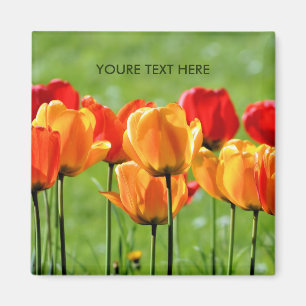 Aimant Tulipes jaunes et rouges