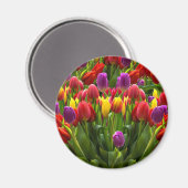Aimant Tulipes lumineuses (Recto/Verso)