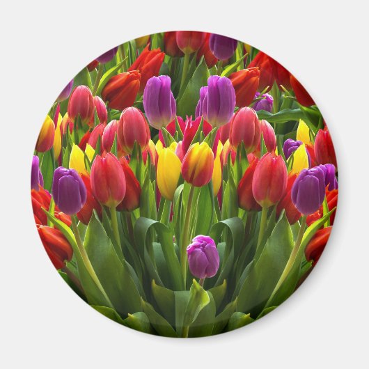Aimant Tulipes lumineuses (Devant)