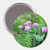 Aimant Tulipes pourpres (Recto/Verso)