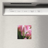 Aimant Tulipes roses (In Situ (Lave-vaisselle))