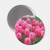 Aimant Tulipes roses (Recto/Verso)