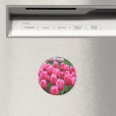Aimant Tulipes roses (In Situ (Lave-vaisselle))