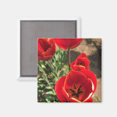 Aimant Tulipes rouges à l'intérieur (Recto/Verso)