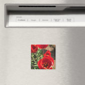 Aimant Tulipes rouges à l'intérieur (In Situ (Lave-vaisselle))