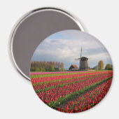 Aimant Tulipes rouges et moulin à vent (Recto/Verso)