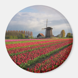 Aimant Tulipes rouges et moulin à vent
