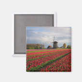 Aimant Tulipes rouges et moulin à vent (Recto/Verso)