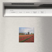 Aimant Tulipes rouges et moulin à vent (In Situ (Lave-vaisselle))
