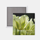 Aimant Tulipes variées blanches et vertes DSC0856 (Recto/Verso)