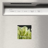 Aimant Tulipes variées blanches et vertes DSC0856 (In Situ (Lave-vaisselle))