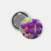 Aimant Tulipes violettes foncées (Recto/Verso)