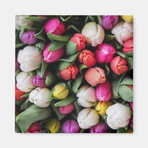 Aimant Tulips Colorful Flowers Easter Spring