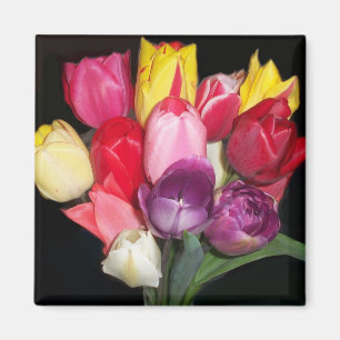 Aimant Tulips dit tout
