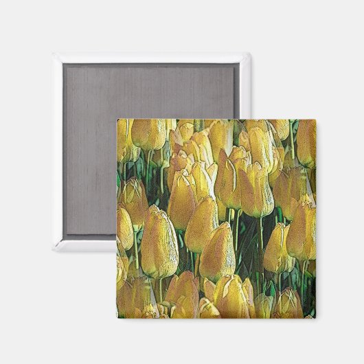 Aimant Tulips Sunshine Yellow (Recto/Verso)