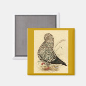 Aimant Tumbler Pigeon LFCL Splash (Recto/Verso)