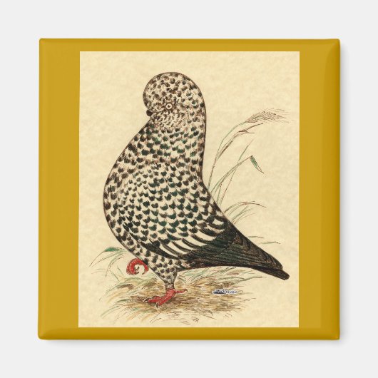 Aimant Tumbler Pigeon LFCL Splash (Devant)