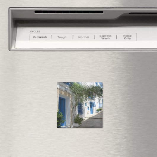 Aimant Tunisie (In Situ (Lave-vaisselle))