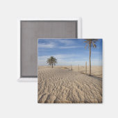 Aimant Tunisie, désert du Sahara, Douz, Grande Dune, aube (Recto/Verso)