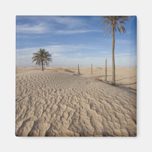 Aimant Tunisie, désert du Sahara, Douz, Grande Dune, aube (Devant)