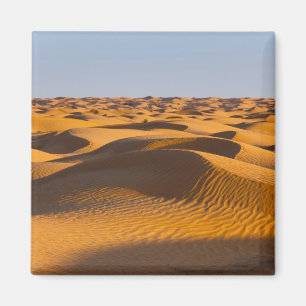 Aimant Tunisie, Ksour Area, Ksar Ghilane, Grand Erg 4