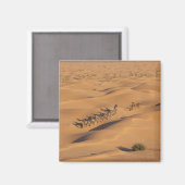 Aimant Tunisie, Ksour Area, Ksar Ghilane, Grand Erg 4 (Recto/Verso)