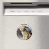 Aimant Tunnel de lecture Kitten (In Situ (Lave-vaisselle))