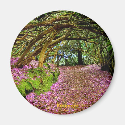 Aimant Tunnel Fairy, Kenmare (Devant)