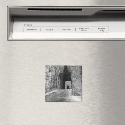 Aimant Tunnel routier des aiguilles (In Situ (Lave-vaisselle))