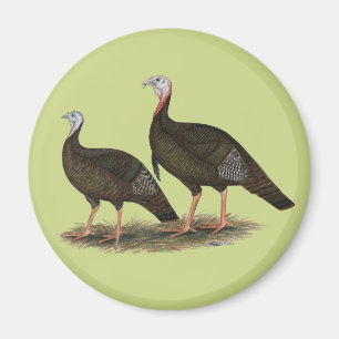 Aimant Turkeys Eastern Wild Pair