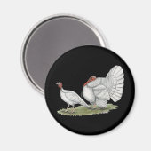 Aimant Turkeys White Hollands (Recto/Verso)