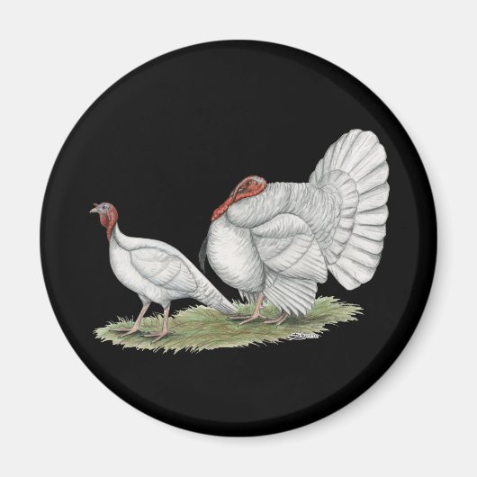 Aimant Turkeys White Hollands (Devant)