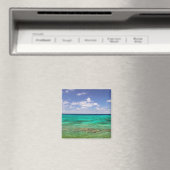 Aimant Turks and Caicos, Grand Turk Island, Cockburn 3 (In Situ (Lave-vaisselle))