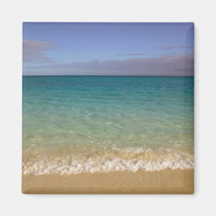 Aimant Turks and Caicos, île de Providenciales, Grace 2