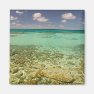 Aimant Turks et Caïcos, Grand Turk Island, Cockburn 2