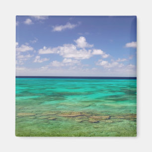Aimant Turks et Caïcos, Grand Turk Island, Cockburn 3
