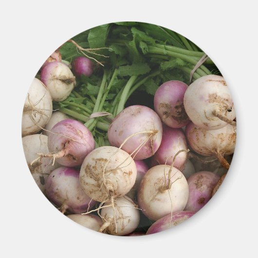 Aimant Turnips (Devant)