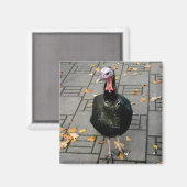 Aimant Turquie (Recto/Verso)