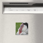 Aimant Turquie dominée (In Situ (Lave-vaisselle))