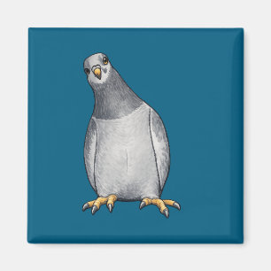 Aimant turquoise avec un doux pigeon de ville en d