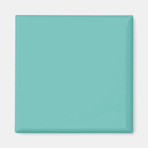 Aimant Turquoise Clair #6BC388, À Moitié Cuit
