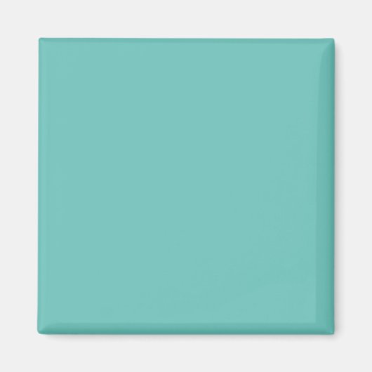 Aimant Turquoise Clair #6BC388, À Moitié Cuit (Devant)