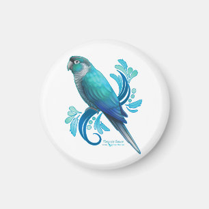 Aimant Turquoise Conure