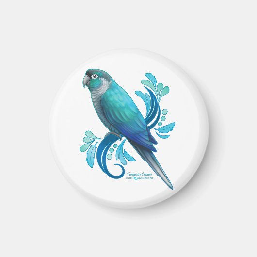 Aimant Turquoise Conure (Devant)