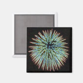 Aimant Turquoise Fireworks (Recto/Verso)