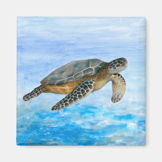 Aimant Turtle 1 (Devant)